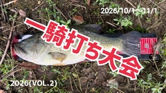 ストックルアーズ】の商品一覧 | 【STOCK】WEB SHOP