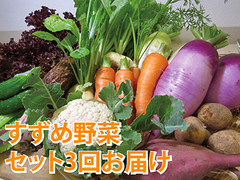 3回お届け・すずめ野菜セット（写真はイメージです）