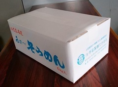 手延素麺　SD-60