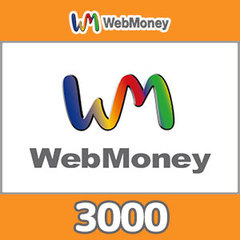 WebMoneyコード（3000円）
