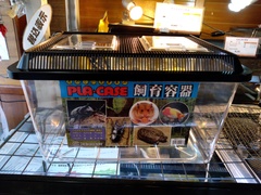 ふゆほたる　飼育ケージ　L ３個セット 三晃商会 イージーホーム 40ハイ デグー飼育セットC スターター