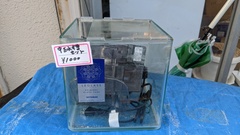 水槽・ケージ(ゲージ)の商品一覧 | かめんちゅカート