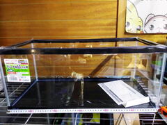 水槽・ケージ(ゲージ)の商品一覧 | かめんちゅカート