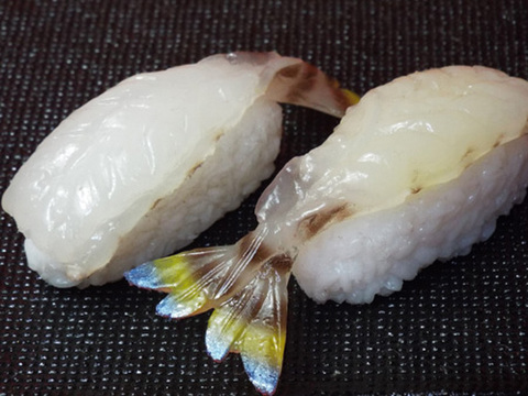 SKN000121Aにぎり寿司おどり
