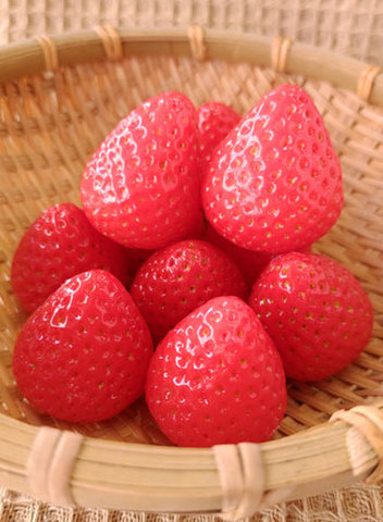 いちご各サイズ