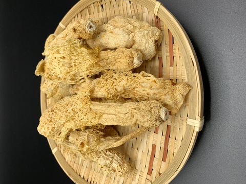 乾燥きぬがさたけ（中国雲南省産）40ｇ