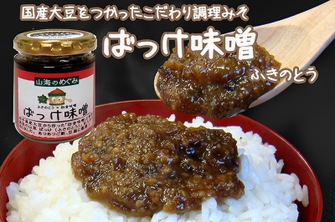 山海のめぐみ　ばっけ（ふきのとう）味噌１００ｇ