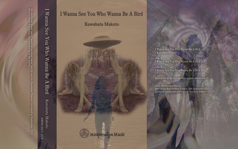 山本精一 & Acid Mothers Temple「メガサイケ」CD 芽瑠璃堂 ＞ 山本精一 & アシッド・マザーズ・テンプル