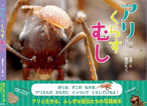 アリの本の商品一覧 | Ant Room Web Shop