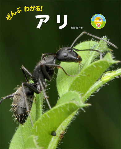 アリの本の商品一覧 | Ant Room Web Shop アリの本の商品一覧 | Ant Room Web Shop