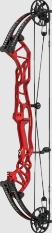 HOYT CONCEPT FX