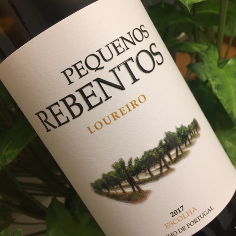 Marcio Lopes - Pequenos Rebentos Loureiro Escolha 2018