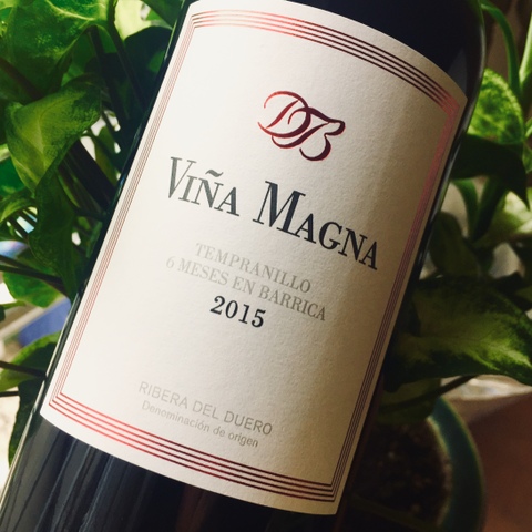 Viña Magna 6 meses 2015