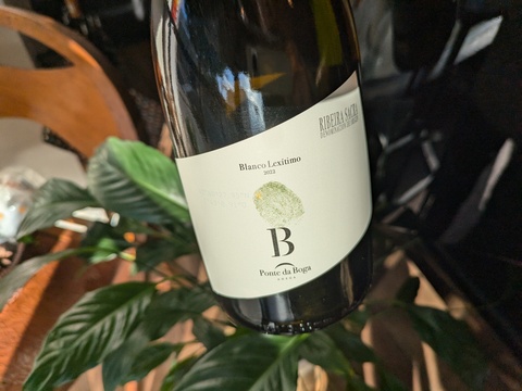 Blanco Lexitimo 2022
