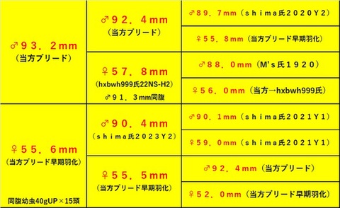 B団 special individual
