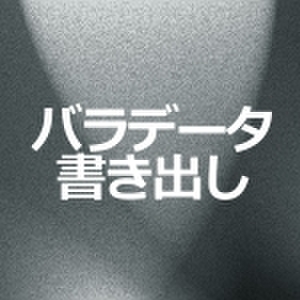 パラデータ書き出し【単体注文不可】