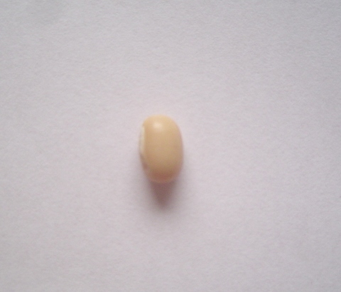 白小豆（300g）