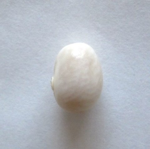 真珠豆（300g）