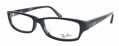 Ray-Ban（レイバン）Ray-Ban RB5272　2000