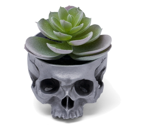 BOFP-285/SKULL POT