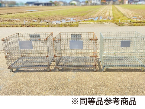 中古メッシュパレット BUP-06ABランク