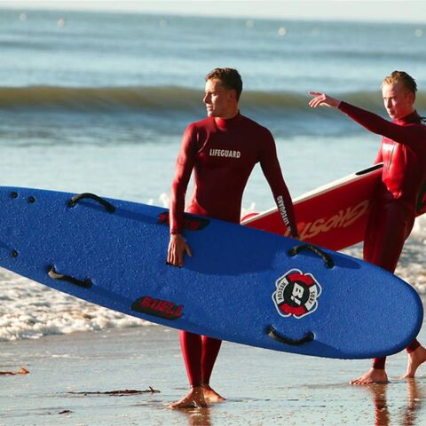 SURFBOARDの商品一覧 | BUELL