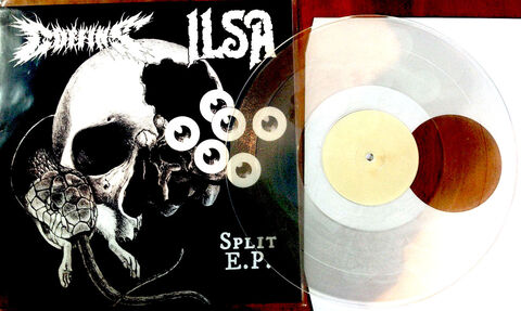 SPLIT with ILSA (US) - 12' (Clear)