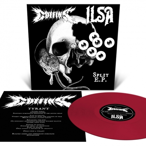 SPLIT with ILSA (US) - 12' (Oxblood)