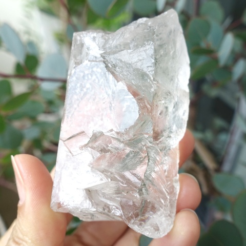 ヒマラヤ産ロシアンレムリアンシード ヒマラヤ産ロシアンレムリアンシード ロシアンレムリアン③