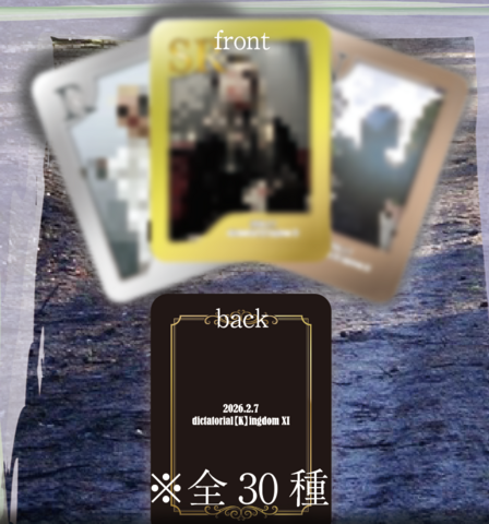 DIAURA グッズ まとめ売り DIAURA チェキ まとめ売り 200枚以上 DIAURA