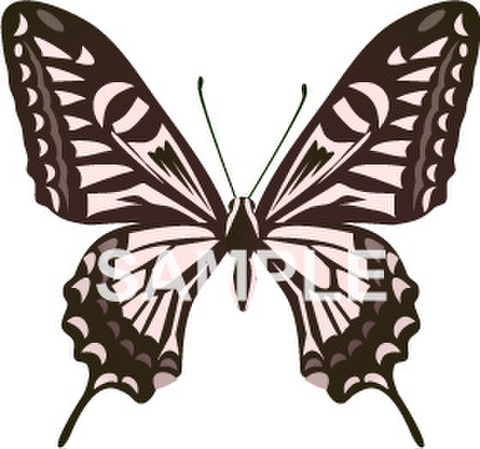 クリックで画像を表示