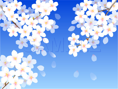 クリックで画像を表示