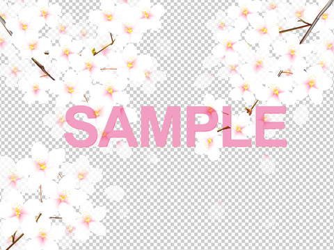 クリックで画像を表示