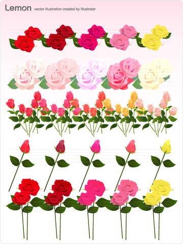 クリックで画像を表示