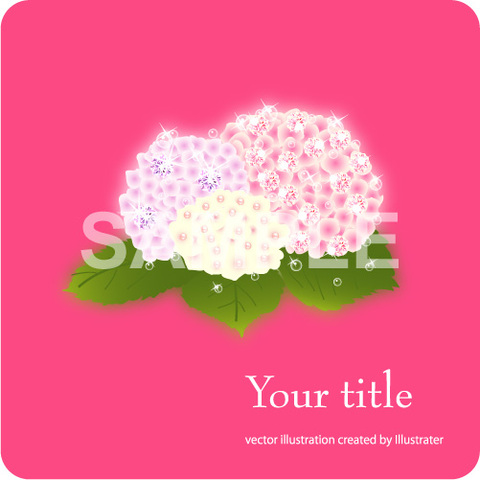 クリックで画像を表示