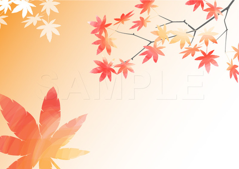 クリックで画像を表示