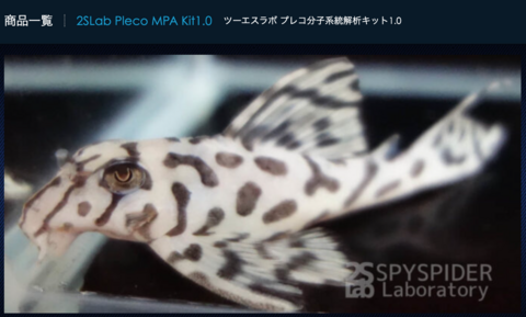 No.43: ツーエスラボ プレコ分子系統解析キット1.0