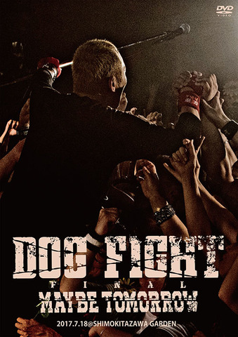 【本物保証安い】専用 DOG FIGHT DVD 25th anniversary ミュージック