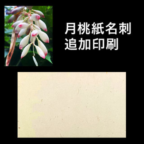 月桃紙名刺（追加印刷50枚）