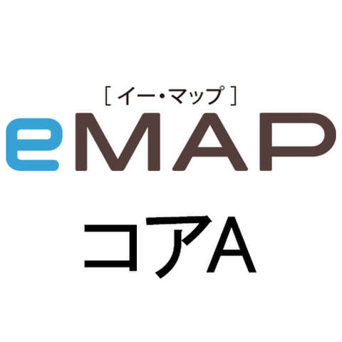 eMAP コアA（デザイン）［12コマ］