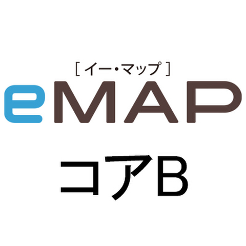eMAP コアB（実践）［12コマ］