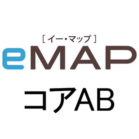 eMAP コアAB（デザイン・実践）［24コマ］