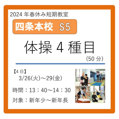 四条本校S5コース　2024年3/26(火)～29(金)　13：40～14：30　体操4種目(50分)　新年少～新年長