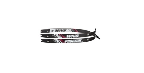 【WNS】 PROCYON C5ウッドコアリム　