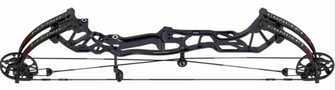 【HOYT】 Concept FX 
