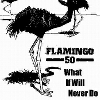 fix-14 : Flamingo 50 - What If Will Never Do (CD)