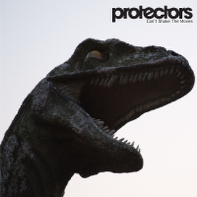 fix-36 : Protectors - Can't Shake The Moves (CD)