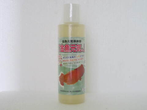 フルタニ金魚倶楽部