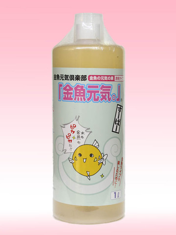 フルタニ金魚倶楽部