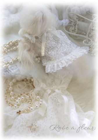 For dear D フリルレースリレット 商品一覧 | For Dear D